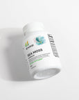 Sea Moss