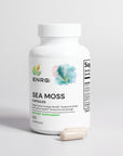 Sea Moss