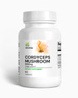 Cordyceps Mushroom
