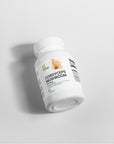 Cordyceps Mushroom