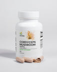 Cordyceps Mushroom