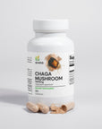 Chaga Mushroom