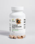 Chaga Mushroom