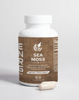 Sea Moss