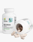 Sea Moss