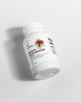 Reishi Mushroom