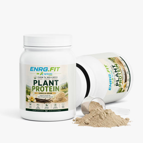 Plant Protein (Vanilla)