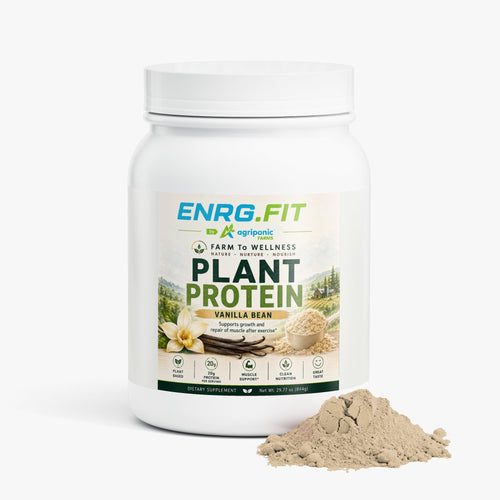 Plant Protein (Vanilla)